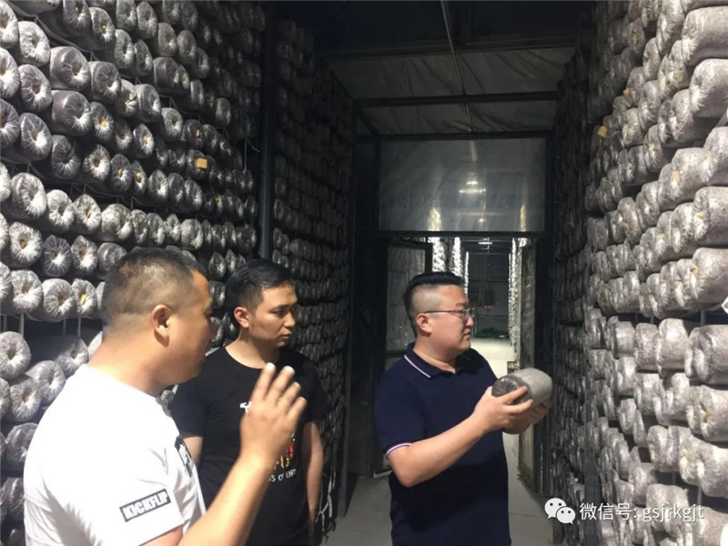 202006111591847480110157.jpg 640.webp (3).jpg