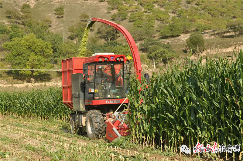 青春在奋斗中闪光——记环县芦家湾乡盘龙村第一书记安立博