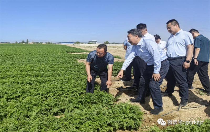 大兴调研 | 祁建邦一行在武威调研