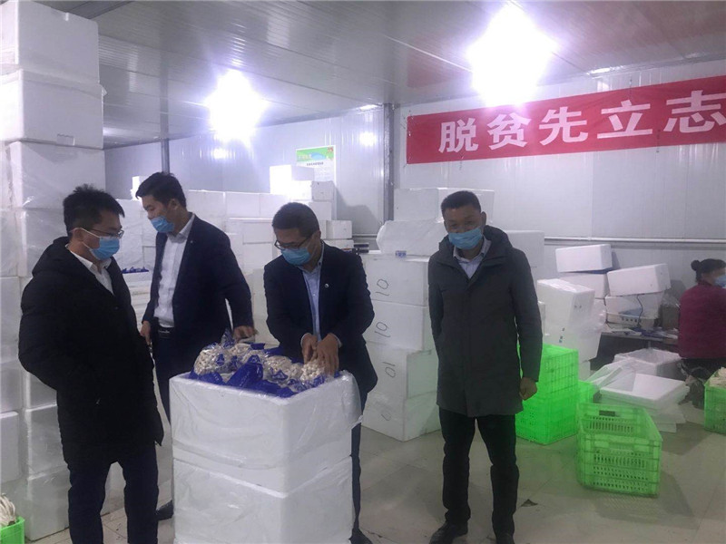 202003131584093826159088.jpg 6.jpg